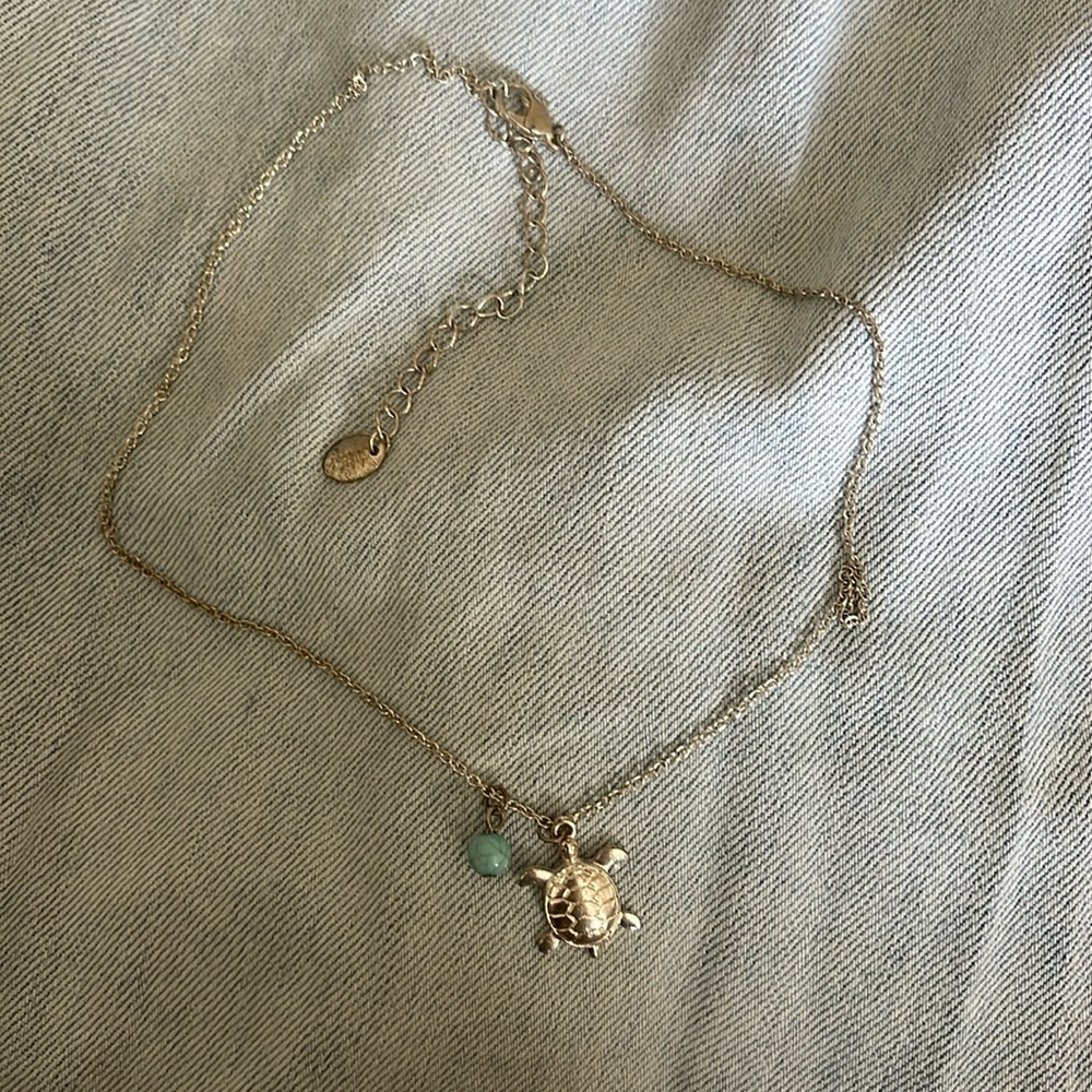 Sliver and tea Turtle Necklace
